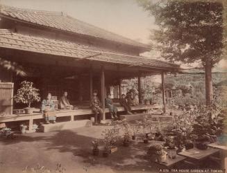 Tea House Garden at Tokyo