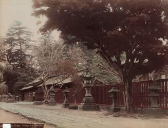 Maple Trees, Shiogama Temple