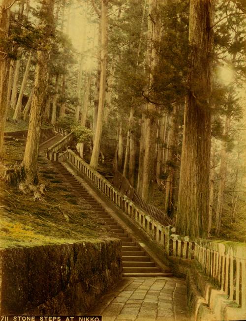 Stone steps at Nikko