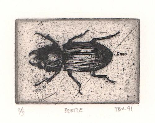 Beetle