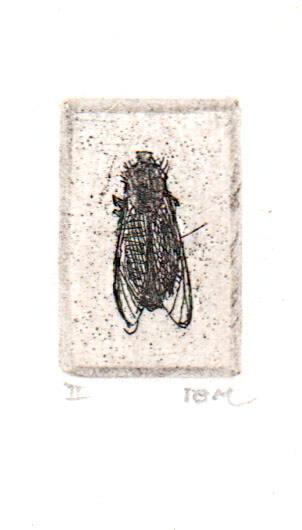 untitled (Fly)