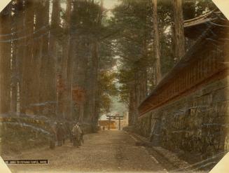 B20: Road to Futaara Temple, Nikko