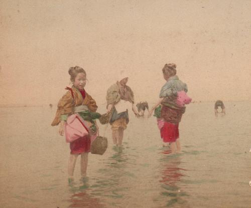 Women Clamming