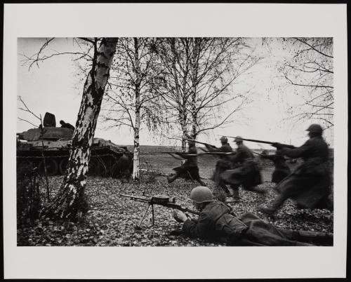 Advancing Through the Birch, 1941-1945