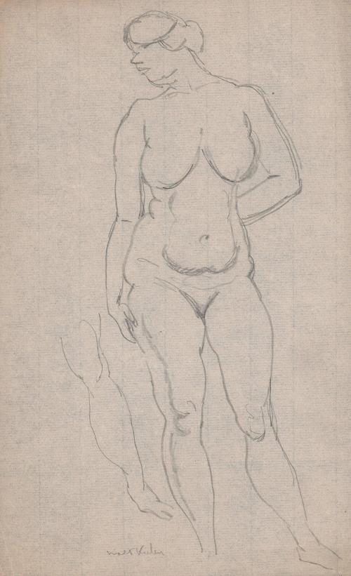 [standing female nude]