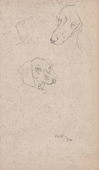 [dog study]