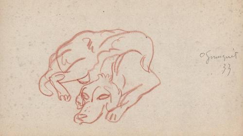 [dog study of a lying dog] Ogunquit