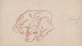 [dog study of a lying dog] Ogunquit