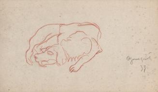 [dog study - sleeping dog] Ogunquit