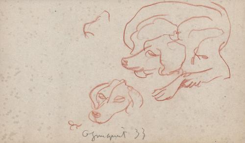 [dog study-lying dog and head of a dog] Ogunquit