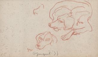 [dog study-lying dog and head of a dog] Ogunquit