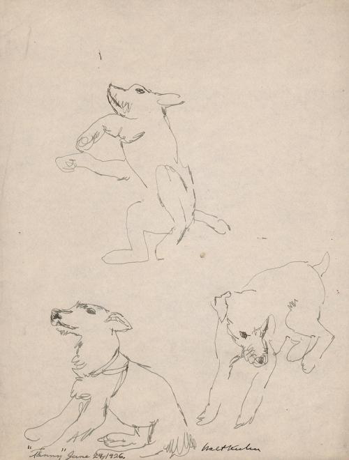 Tanny [three dog studies]