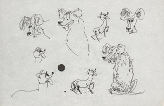 [dog studies - various poses]