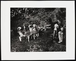 [Men and boys bathe while cows are watered, Bayung Gedé, Bali, Indonesia]