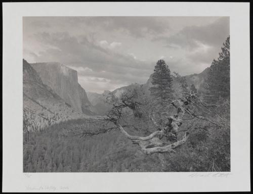 Yosemite Valley