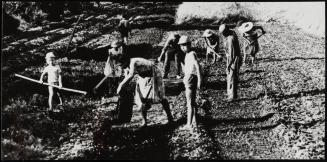 Field workers tilling soil