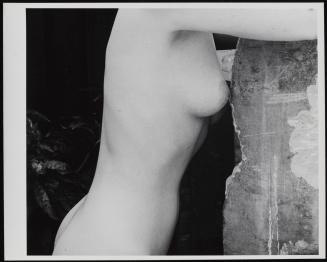 Nude torso profile (Jytte Svendson)