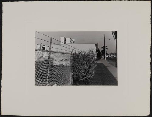 Car & fence & bush, San Diego, California, 1970