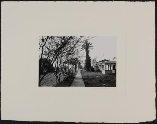 Street scene, trees & houses, Hollywood, California, 1970