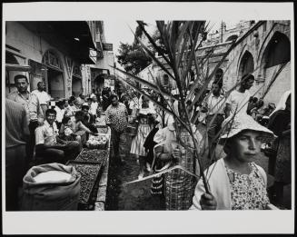 Palm Sunday procession of Catholic pilgrims, Old City, Jerusalem, Israel
