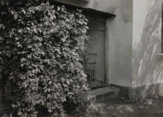 Garden at the house at Hukvaldy