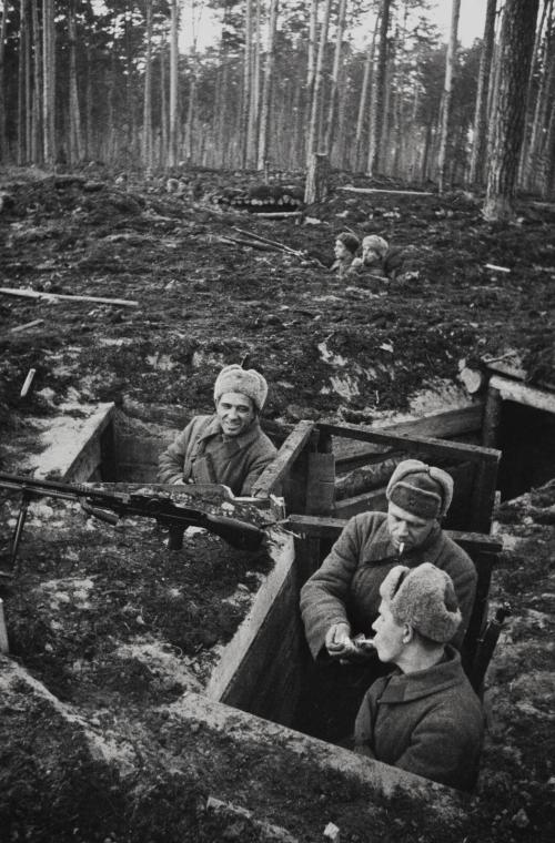 In the Foxholes