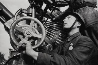 Artillery Commander K. M.  Karabanov Protecting the Harvest