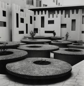 A contemporary courtyard garden, Africa