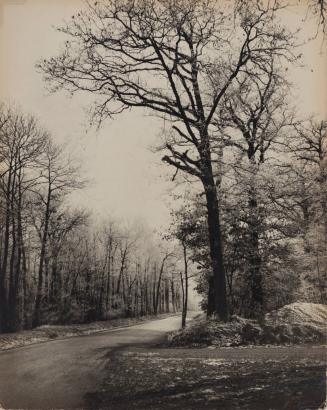 La Route Sous le Givre