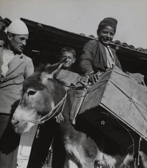 Untitled [Family with mule), Scutari, Albania