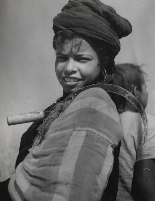 Young Berber harvesting wheat, Marrakech, Morocco