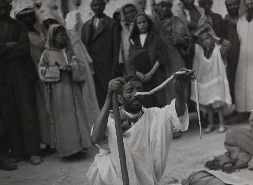 Snake charmer, Jemaa el Fna square, Marrakech, Morocco