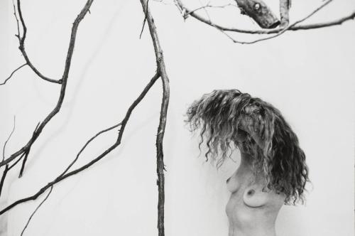 Nude of Kate with tree branches