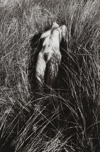 Kate, nude, laying in a grassy field, USA
