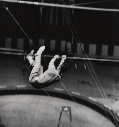 Harold Alzana hanging onto high wire, Ringling Brothers Circus
