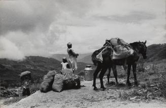 Mules and people resting on the road from Port-au-Prince inland to Kenscoff, some 5,000 feet above sea-level, provide a typical Haitian scene with a magnificent backdrop of clouds and mountains, Haiti