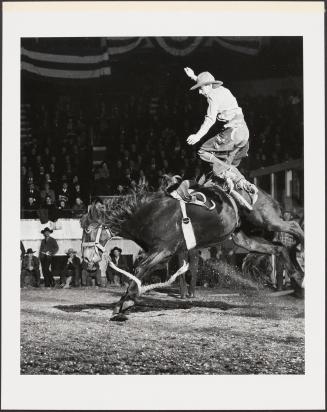 Action at the Rodeo