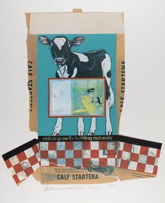 Calf Startena