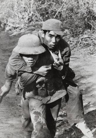 Vietnam Wounded