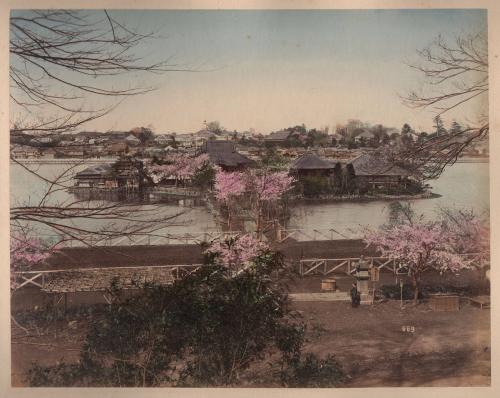 669. Shinobadsu (Pond) Uyeno Tokio