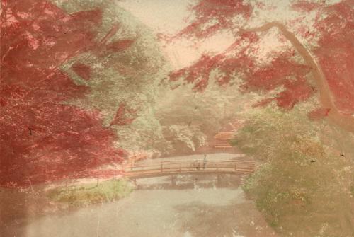 Maple Garden, Tokyo