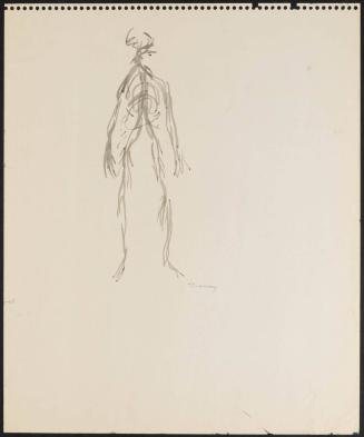 [Sketch of a Skeleton]