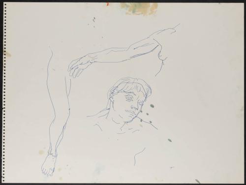 [Sketch of a leg, arm, and head]
