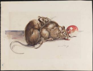 Two rats with an apple