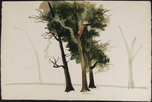 [Unfinished sketch, group of three trees]