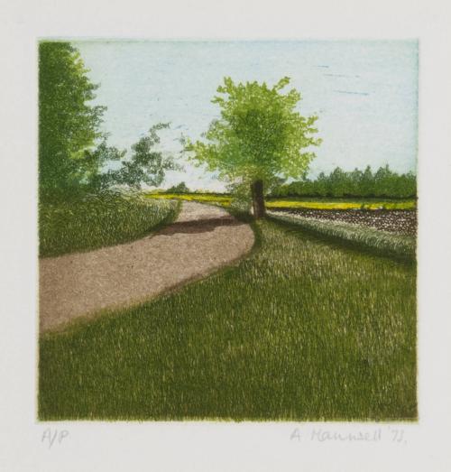 [Landscape, tree beside curving road]