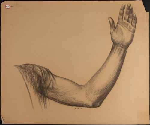 Study of Arm