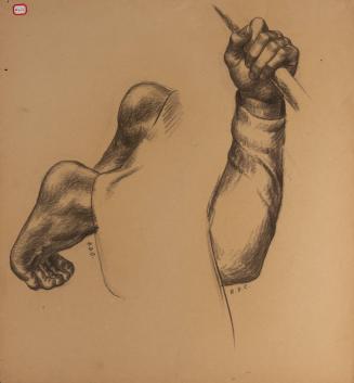 Study of Arm and Feet