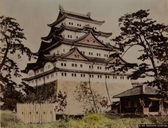 A317. Nagoya Castle