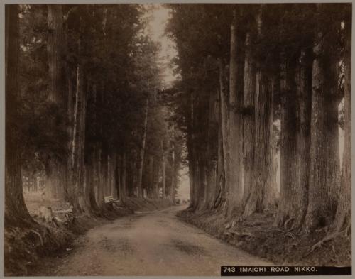 Imaichi Road, Nikko